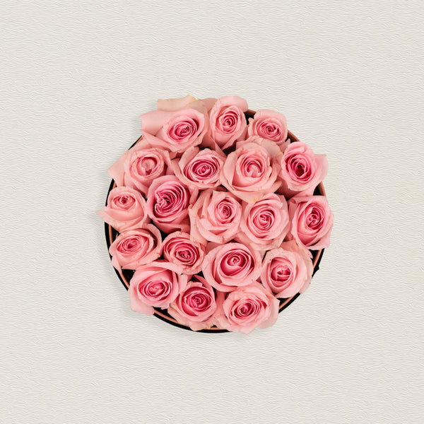 Round Velvet Rose Box | Pink