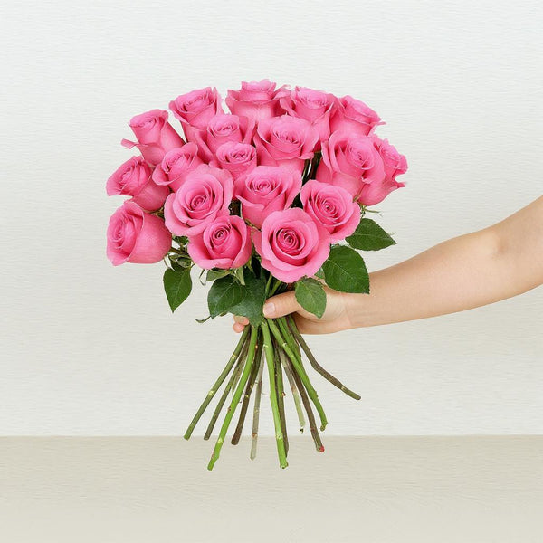Roses | Dark Pink