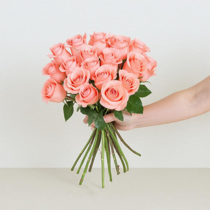 Roses | Peach