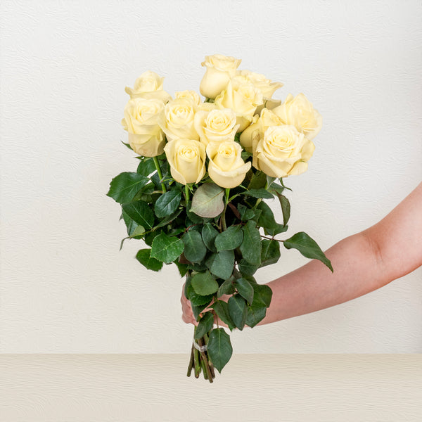 Roses | Yellow